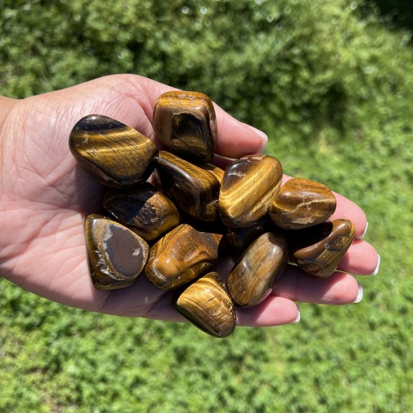 Tigers Eye Tumble