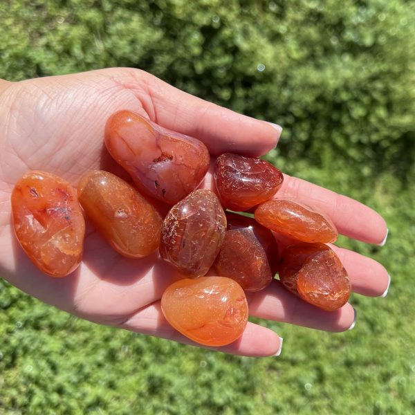Carnelian Tumble